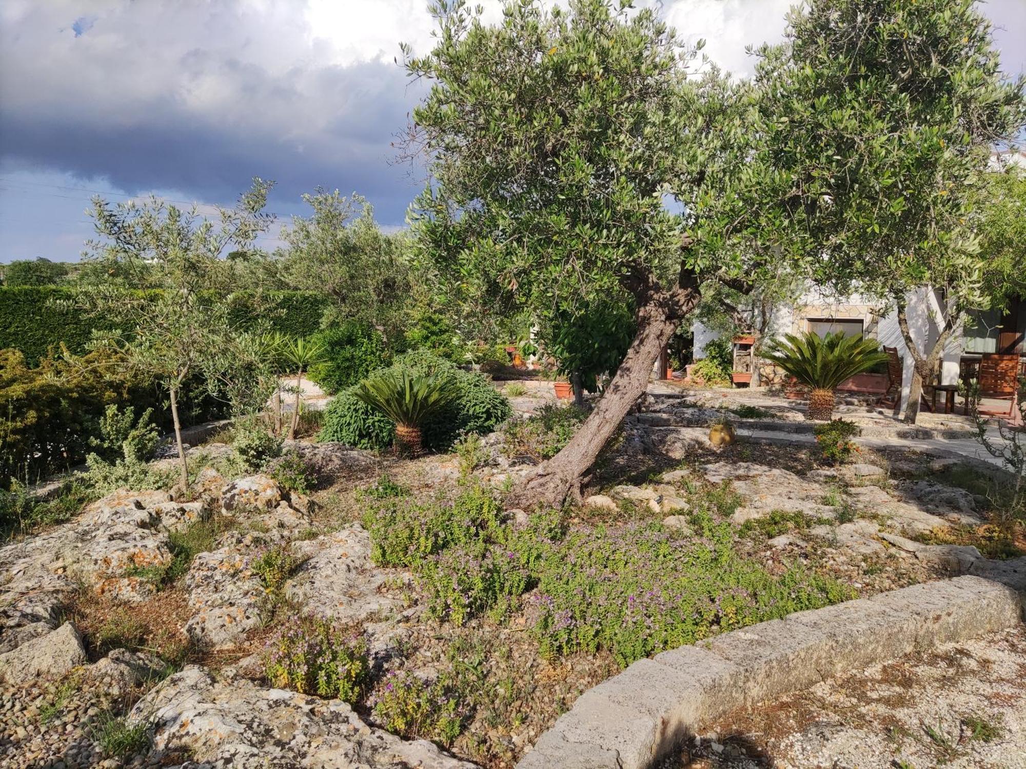 Villa Giulia B&B Castellana Grotte Exterior photo